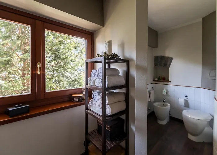 Donati By My Collection