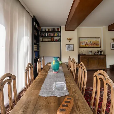 Donati By My Collection *