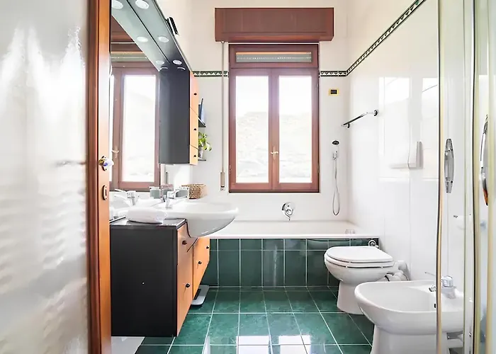 Donati By My Collection *