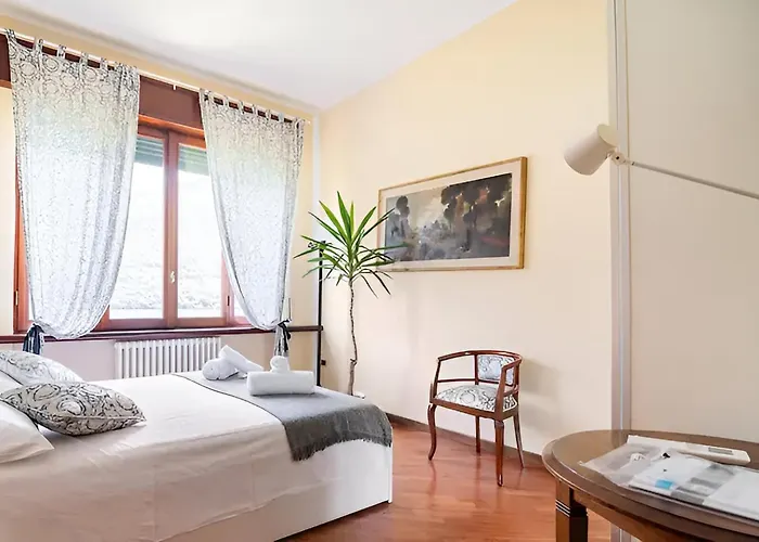 Donati By My Collection