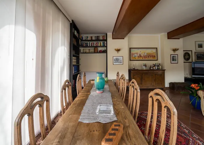 Donati By My Collection *