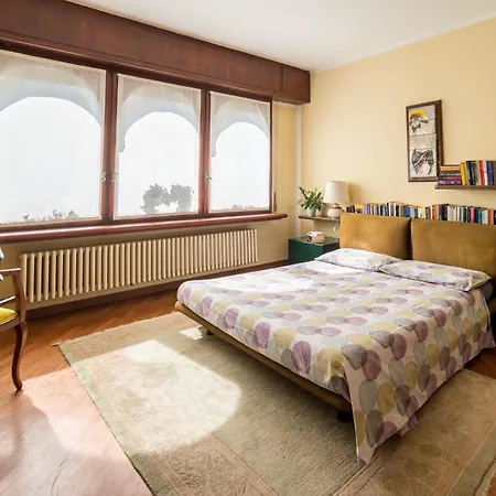 Donati By My Collection *