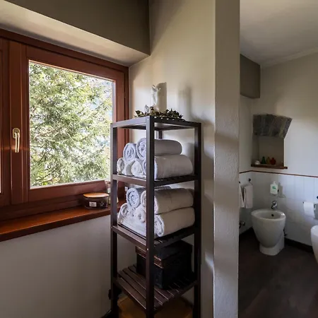 Donati By My Collection